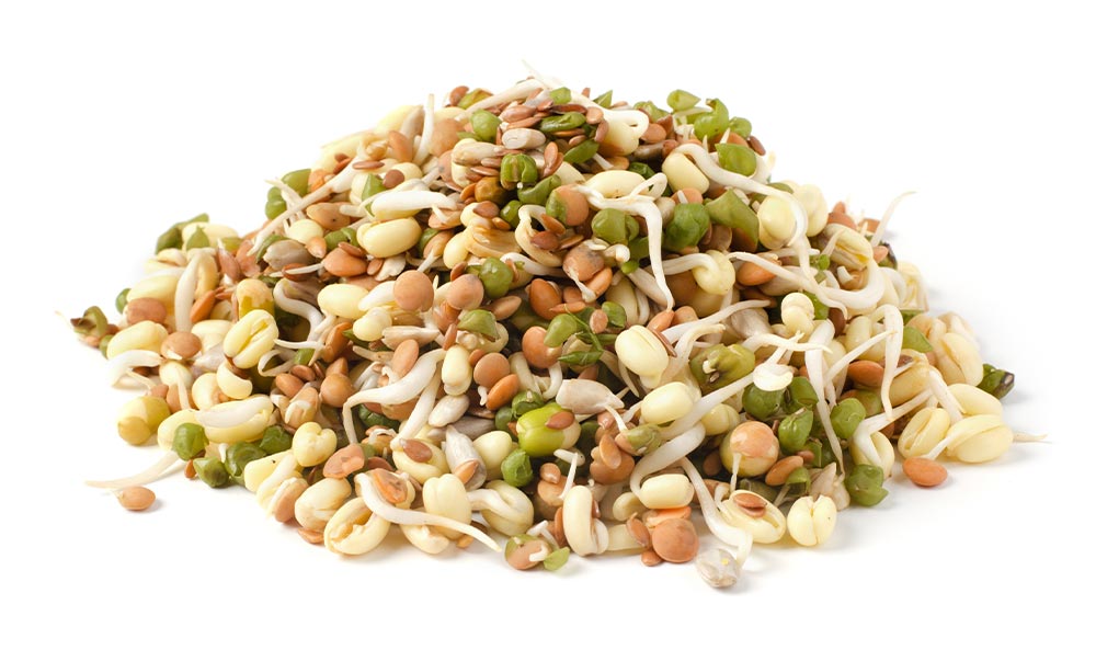 Organic Bean Salad Mix Sprouting Seeds by Patriot Seeds (4 ounces)