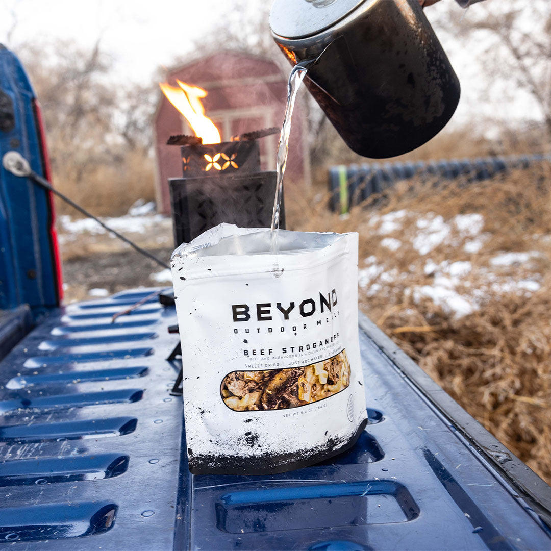 Beef Stroganoff Pouch by Beyond Outdoor Meals (710 calories, 2 servings)