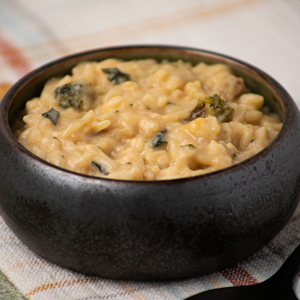 Cheesy Broccoli Soup #10 Cans (69 total servings, 3-pack)