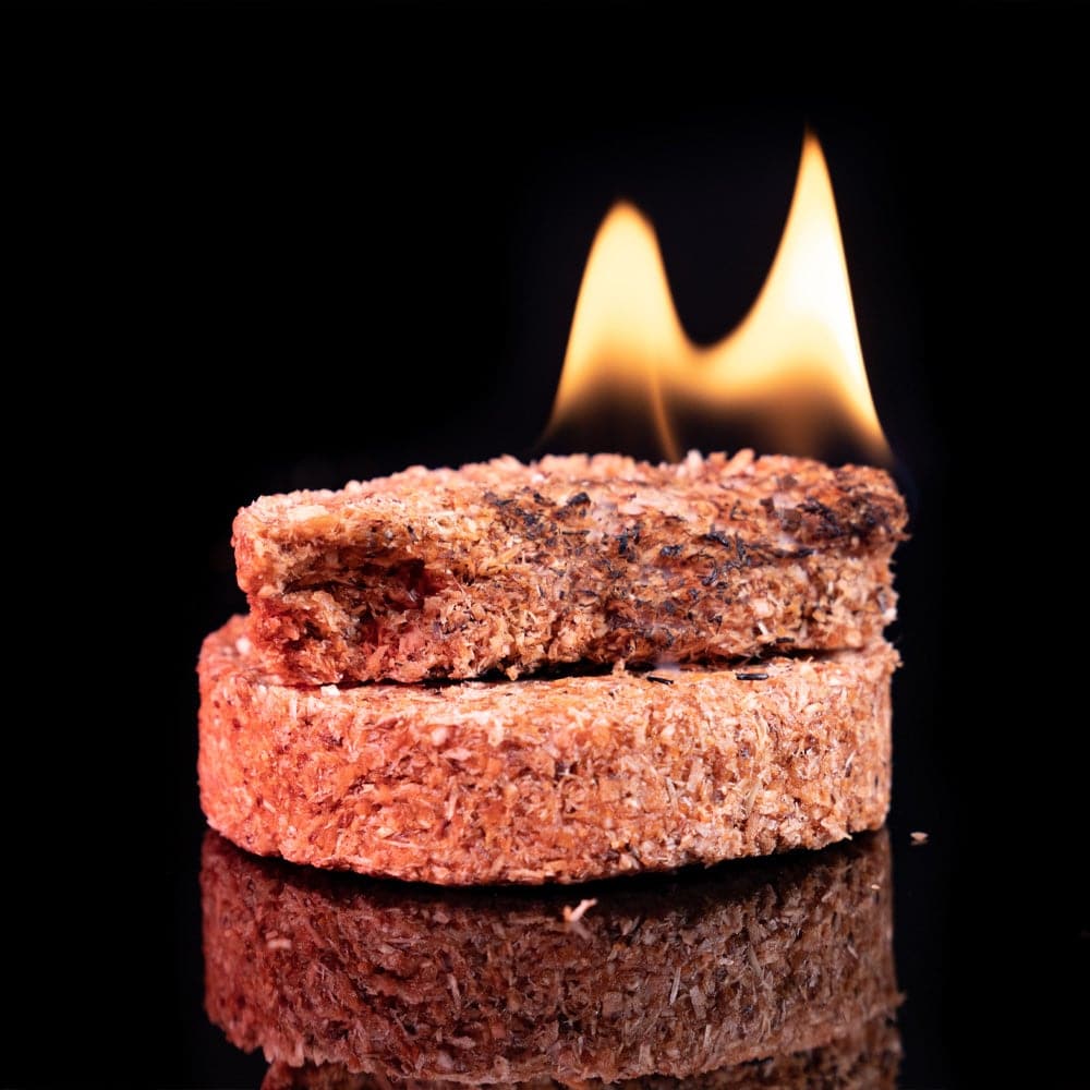 Fire Pucks Fire Starters (2-pack) by InstaFire