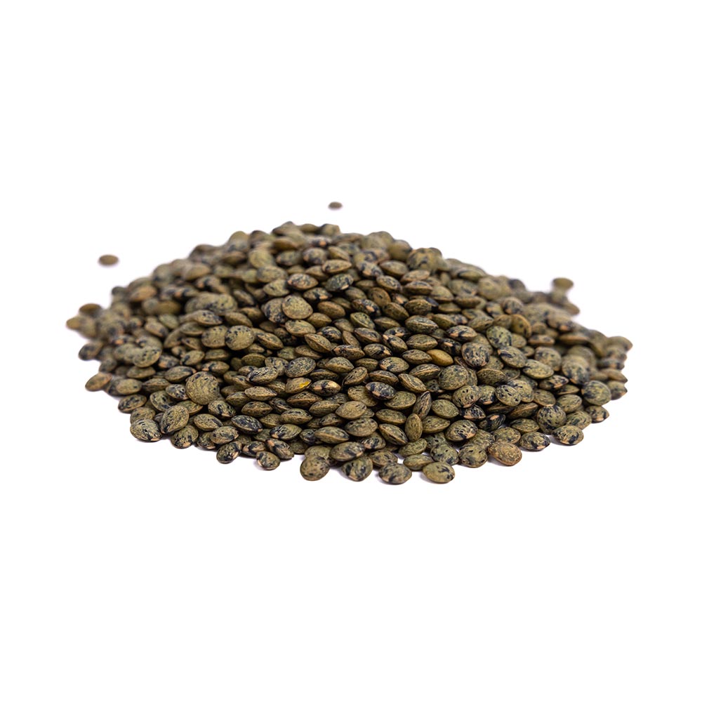 Organic Green Lentil Sprouting Seeds by Patriot Seeds (4 ounces)