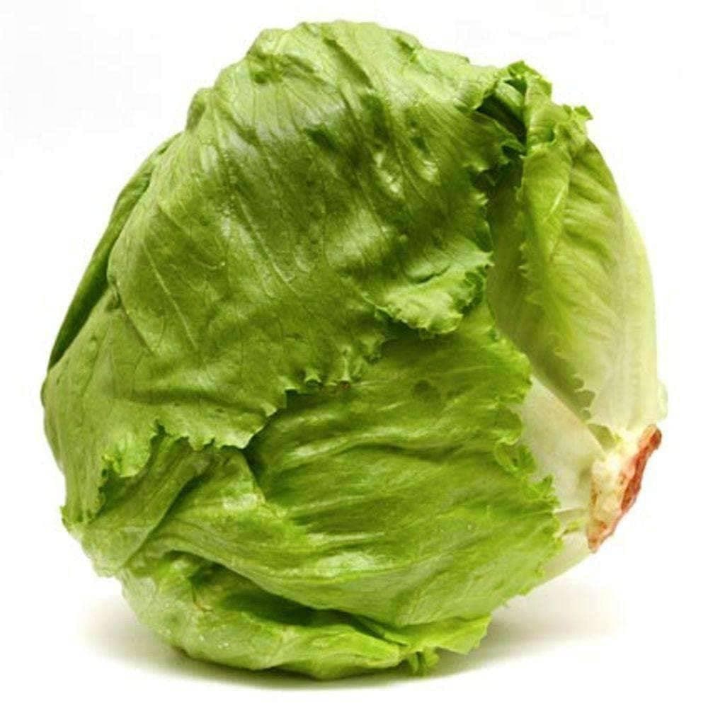 Heirloom Lettuce Iceberg Seeds (1g) by Patriot Seeds