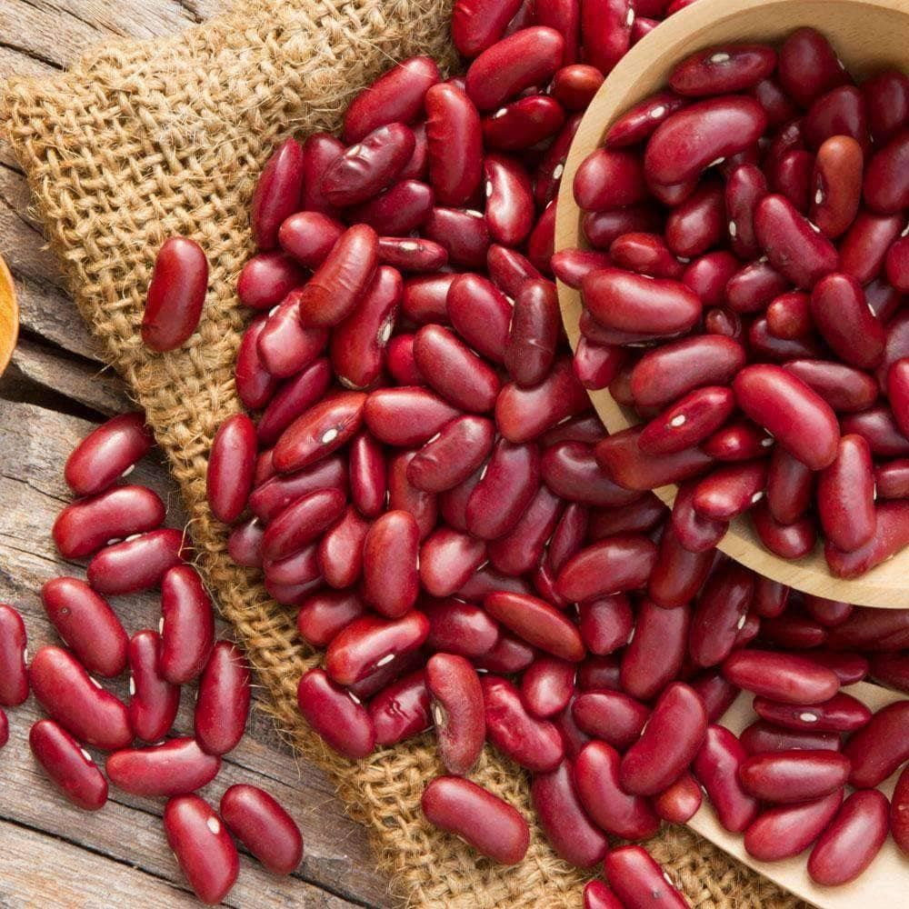 Organic California Light Red Kidney Beans (28g)