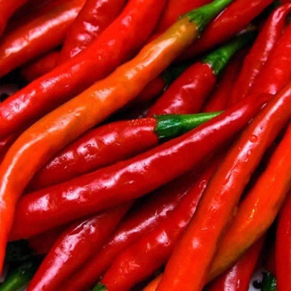 Heirloom Long Red Narrow Cayenne Pepper Seeds (.5g) by Patriot Seeds