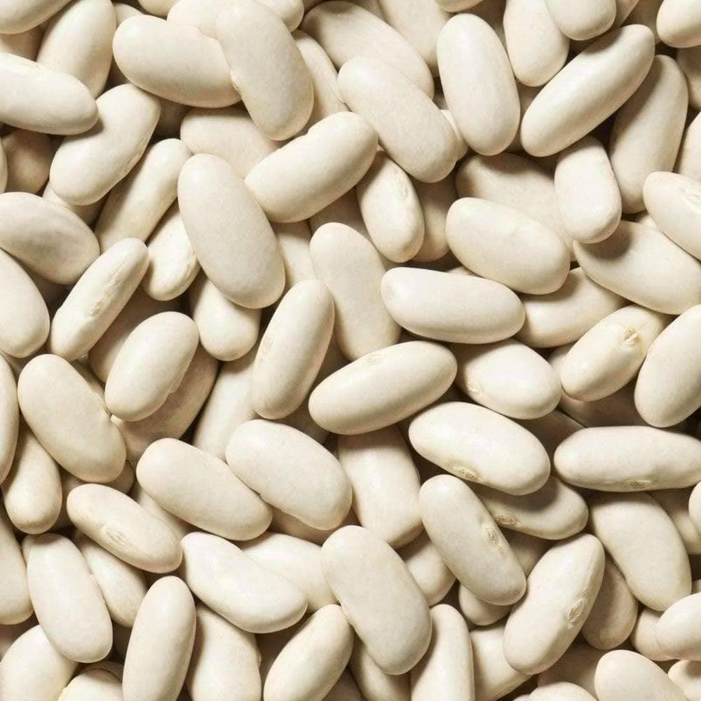 Organic California White Kidney Beans (28g)