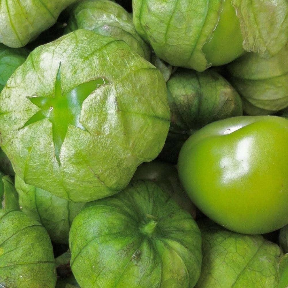 Organic Grande Rio Verde Tomatillo Tomato Seeds (500mg)