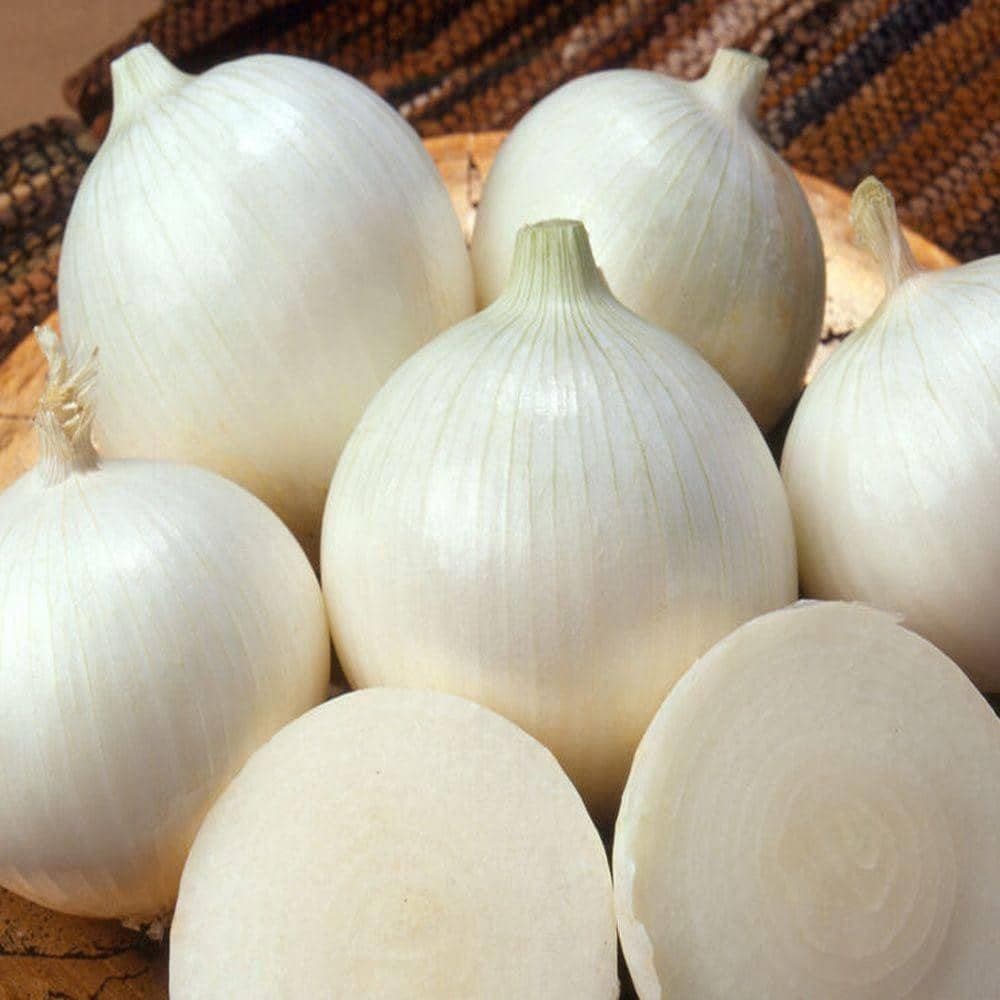 Heirloom White Sweet Spanish Onion Seeds (.5g) by Patriot Seeds