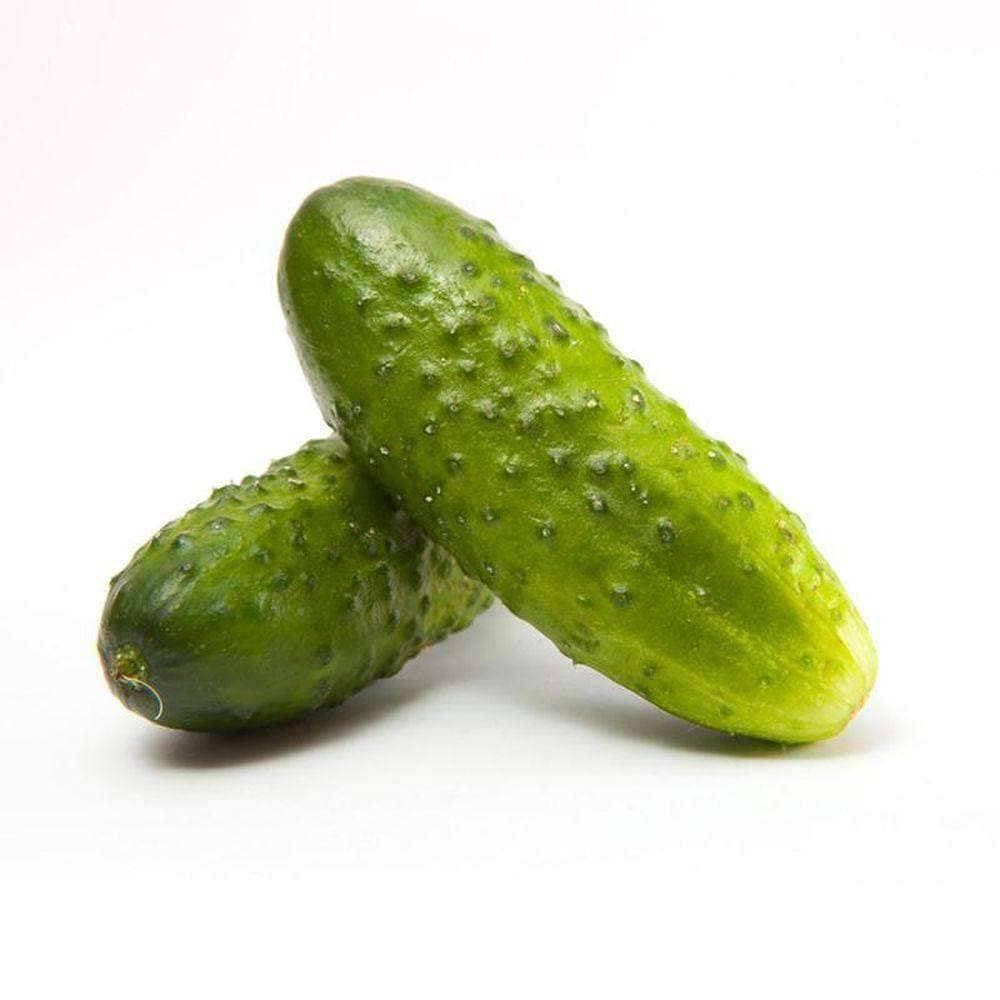 Heirloom Boston Pickling Cucumber Seeds (3g) by Patriot Seeds