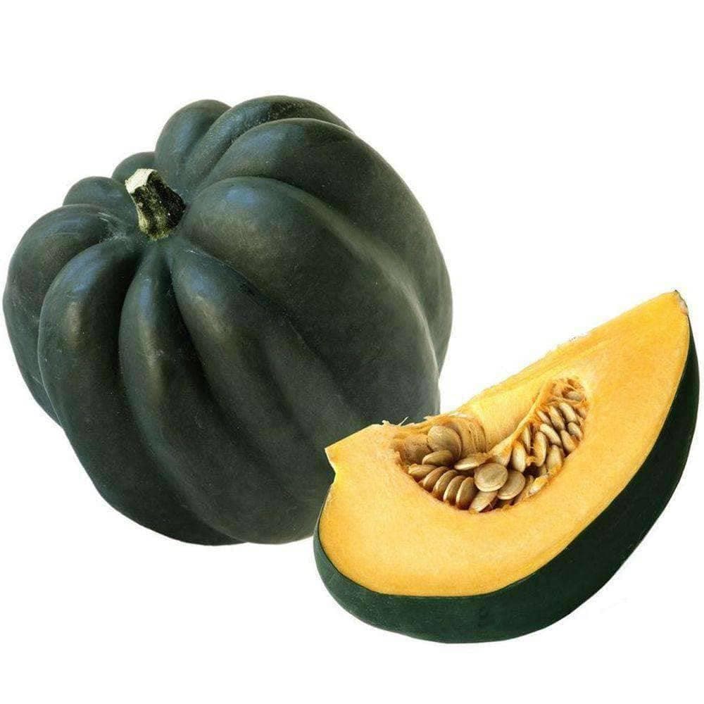 Heirloom Table Queen Winter Acorn Squash Seeds (4g) by Patriot Seeds