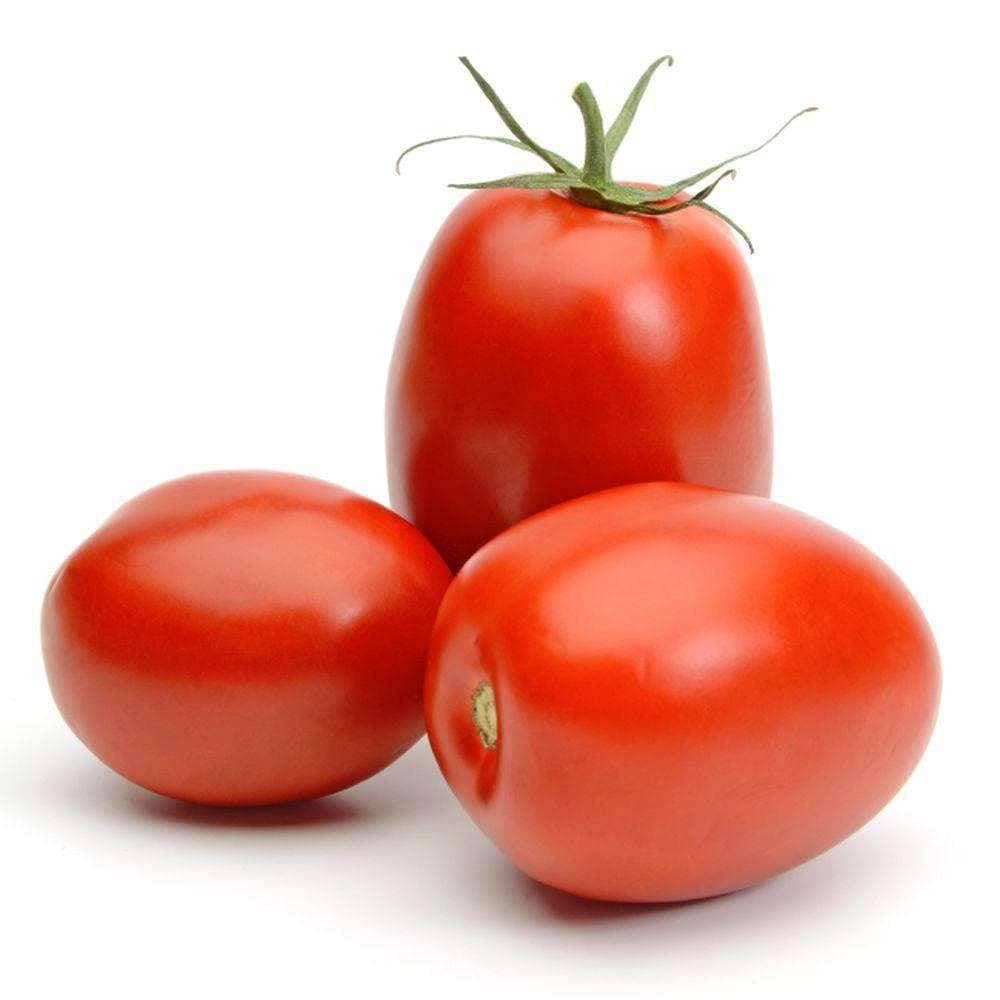 Heirloom Roma Tomato Seeds (.5g) by Patriot Seeds