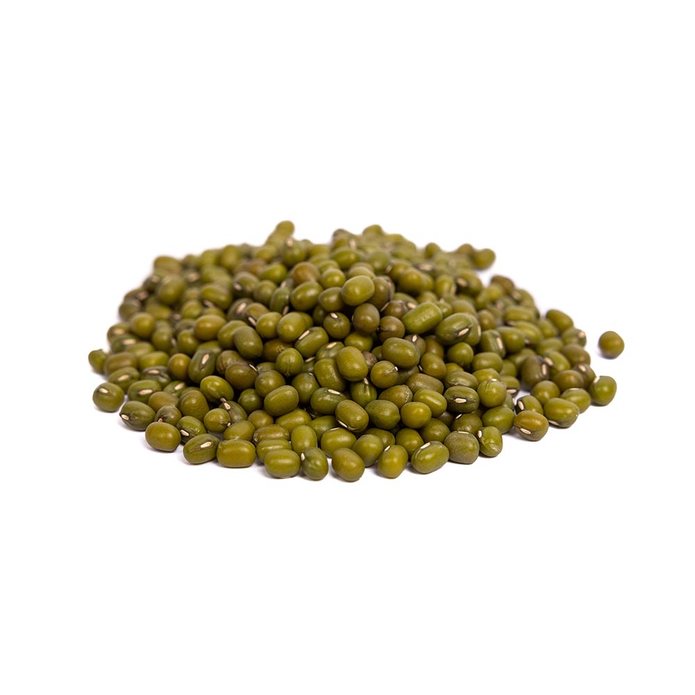 Organic Mung Bean Sprouting Seeds by Patriot Seeds (4 ounces)