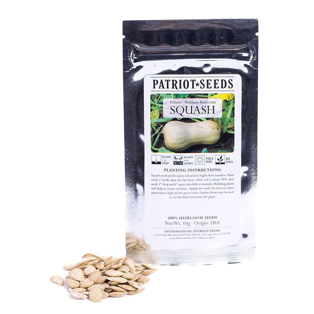 Heirloom Waltham Butternut Squash Seeds (10g) by Patriot Seeds