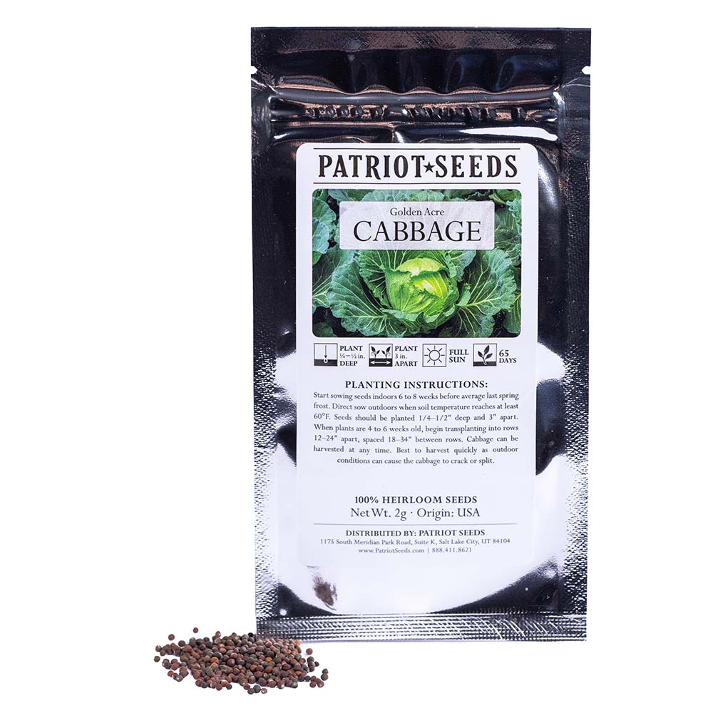 Heirloom Golden Acre Cabbage (2mg) by Patriot Seeds