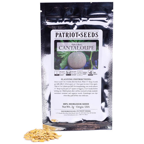 Heirloom Hales Best Cantaloupe Seeds (2g) by Patriot Seeds