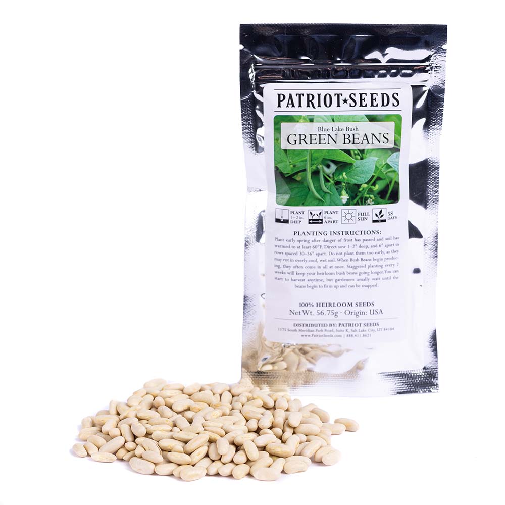 Heirloom Blue Lake Bush Beans (56.75mg) by Patriot Seeds