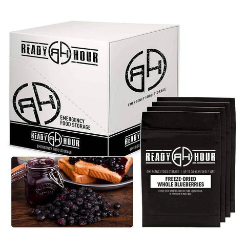 Freeze-Dried Blueberries Case Pack (32 servings, 4 pk.)