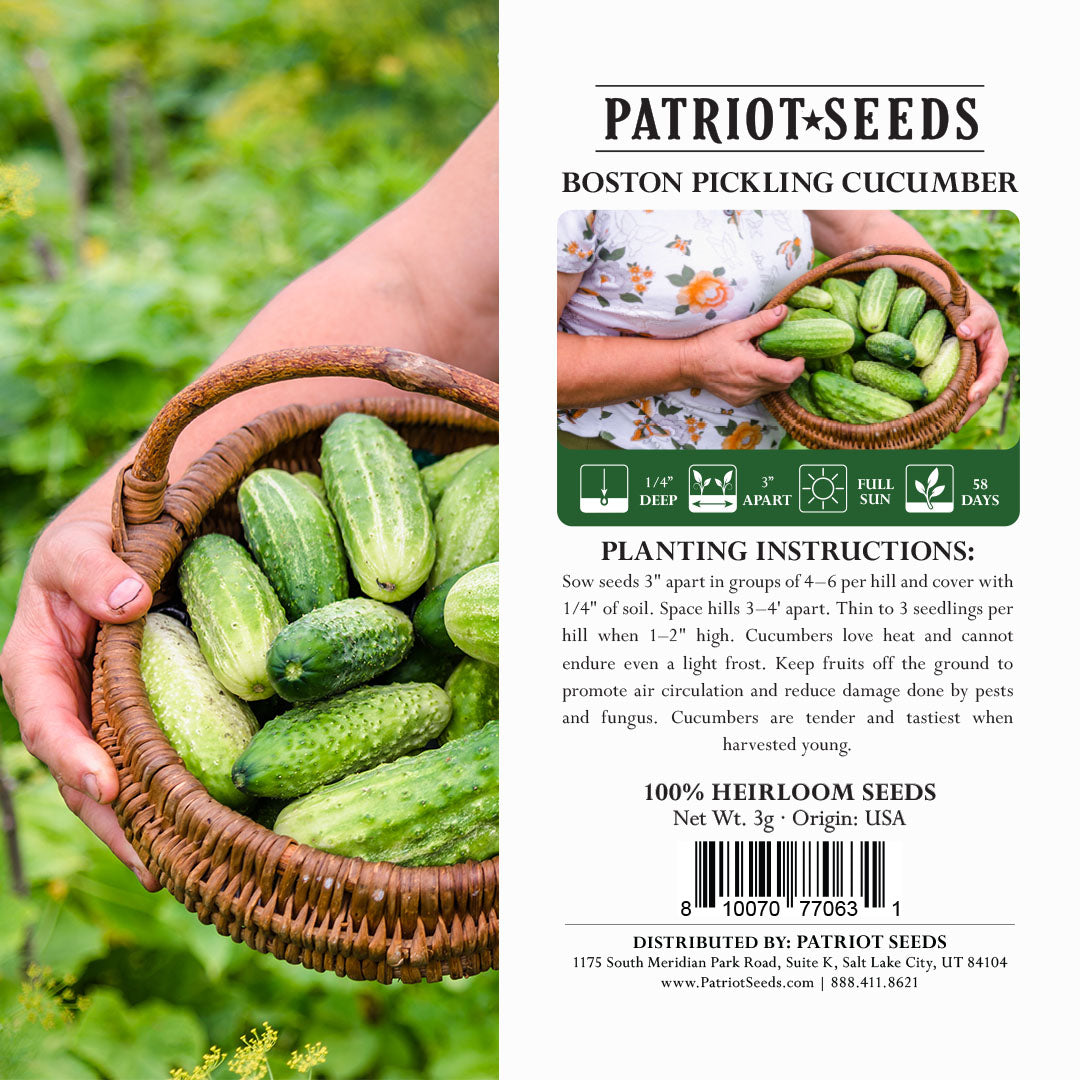 Heirloom Boston Pickling Cucumber Seeds (3g) by Patriot Seeds