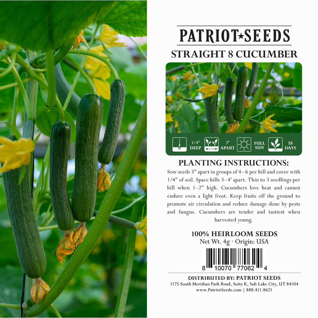 Heirloom Straight 8 Cucumber Seeds (4g) by Patriot Seeds