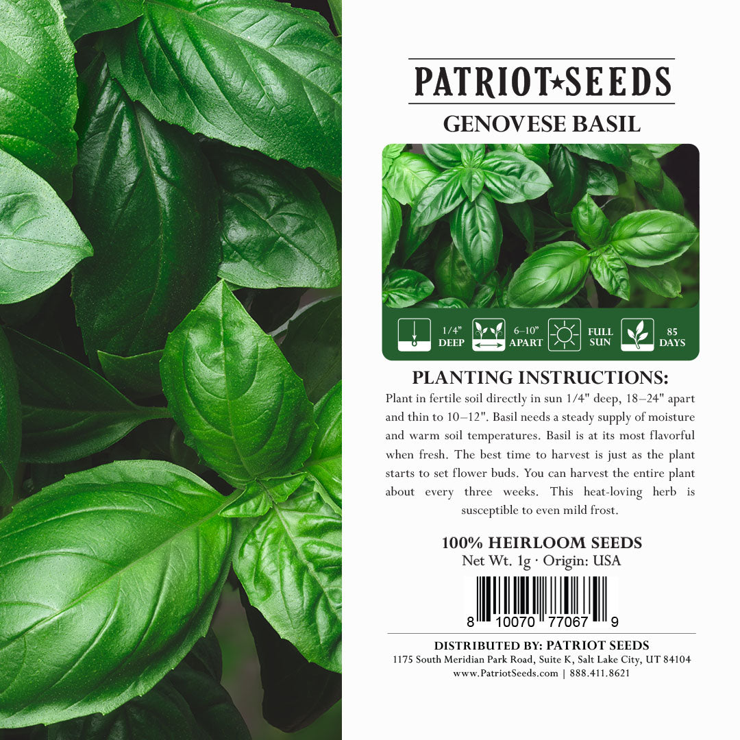 Heirloom Genovese Basil Herb Seeds (1g) by Patriot Seeds