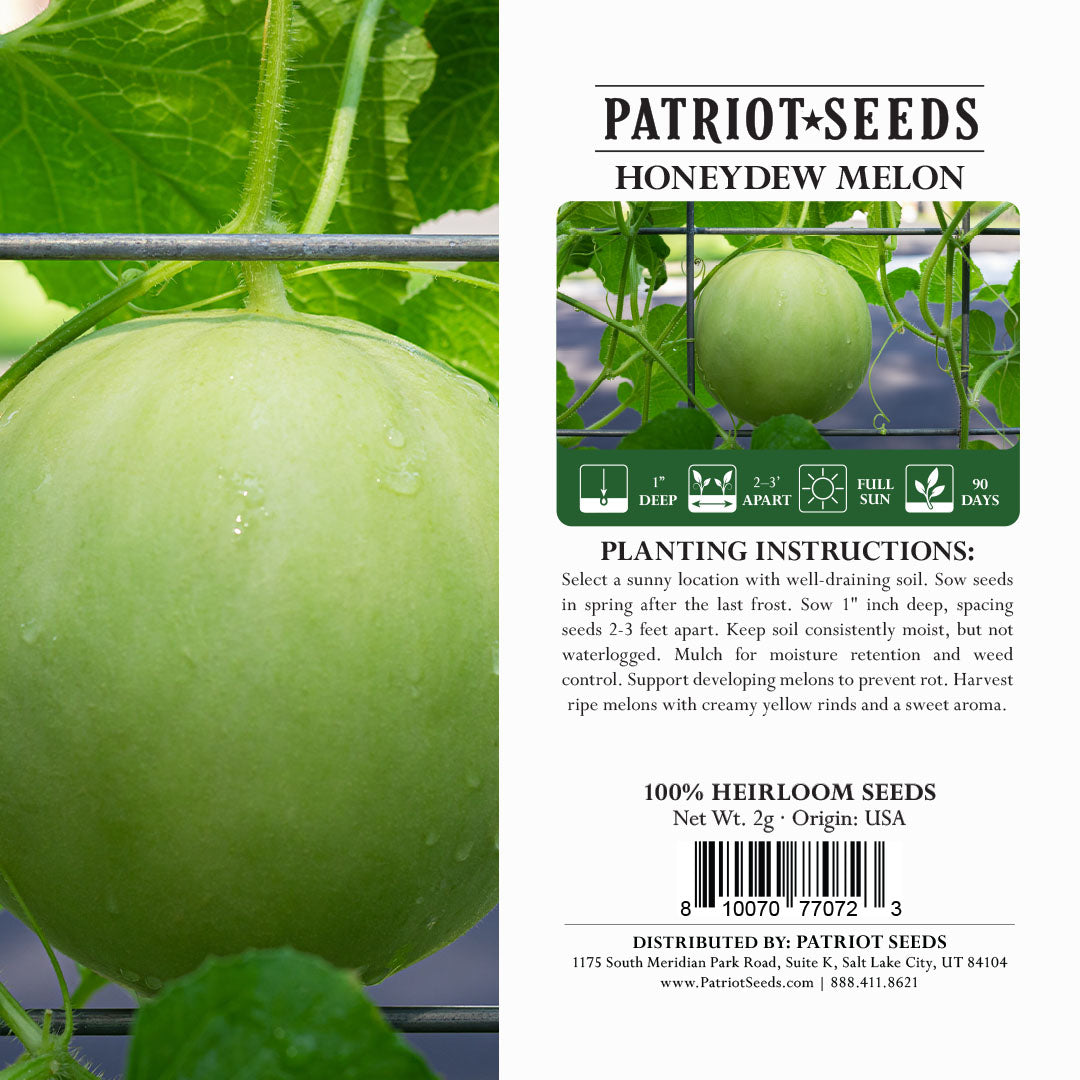 Heirloom Honeydew Melon Seeds (2g) by Patriot Seeds