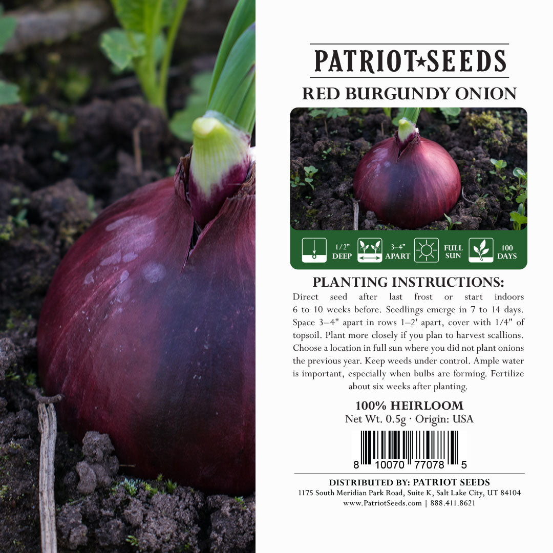 Heirloom Red Burgundy Onion Seeds (.5g) by Patriot Seeds