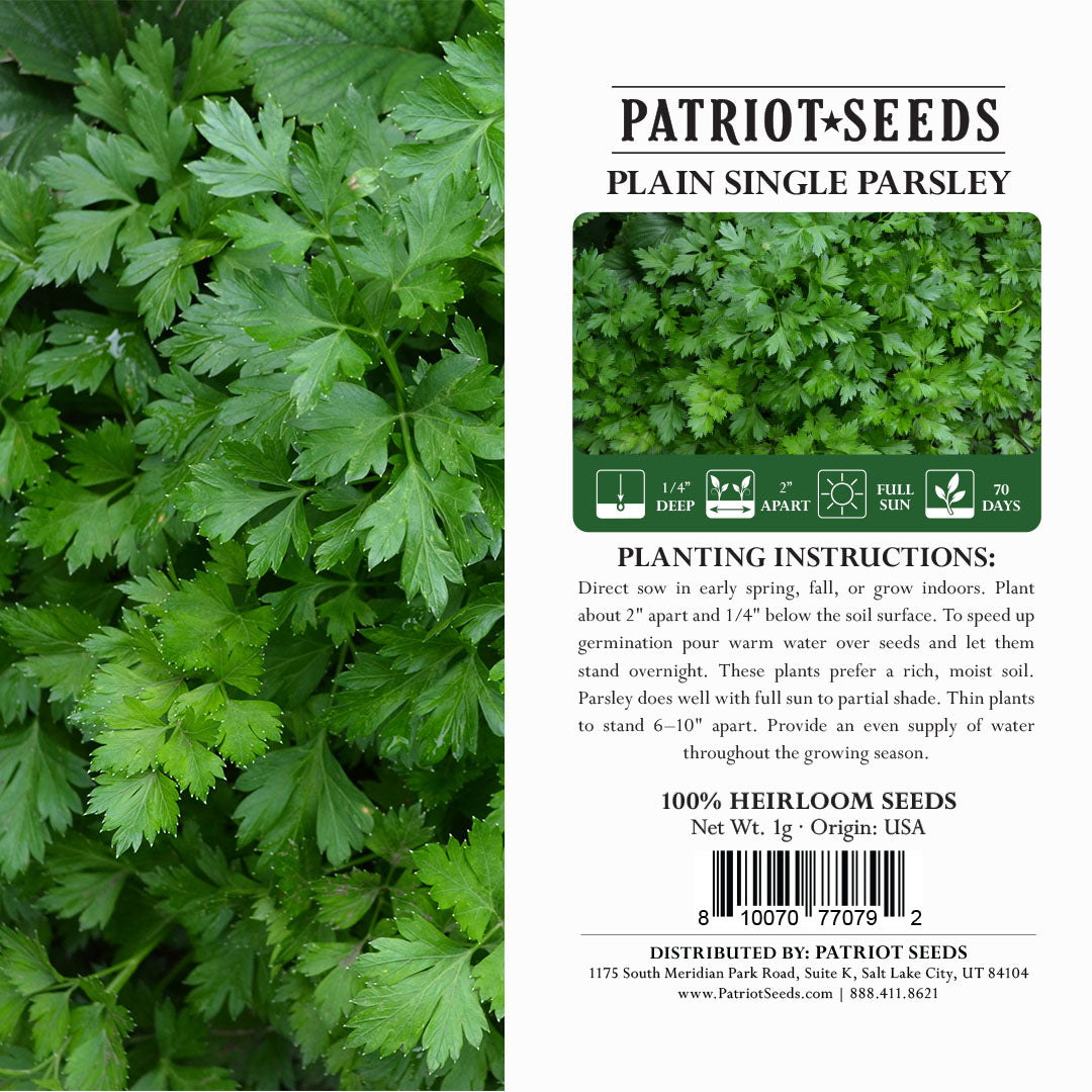 Heirloom Plain or Single Parsley Herb Seeds (1g) by Patriot Seeds