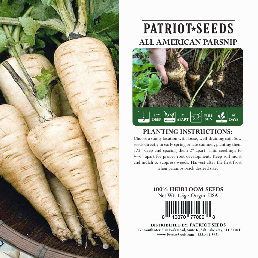 Heirloom All American Parsnip Seeds (1.5g) by Patriot Seeds