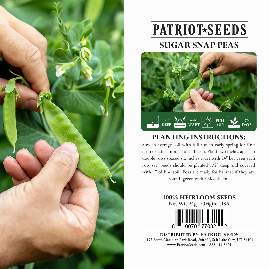 Heirloom Sugar Snap Pea Seeds (24g) by Patriot Seeds