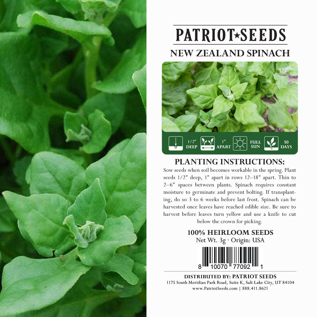 Heirloom New Zealand Spinach Seeds (3g) by Patriot Seeds