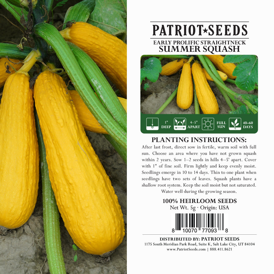 Heirloom Early Prolific Straightneck Summer Squash Seeds (5g) by Patriot Seeds