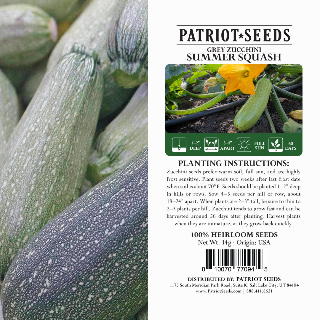 Heirloom Grey Zucchini Summer Squash Seeds (14g) by Patriot Seeds