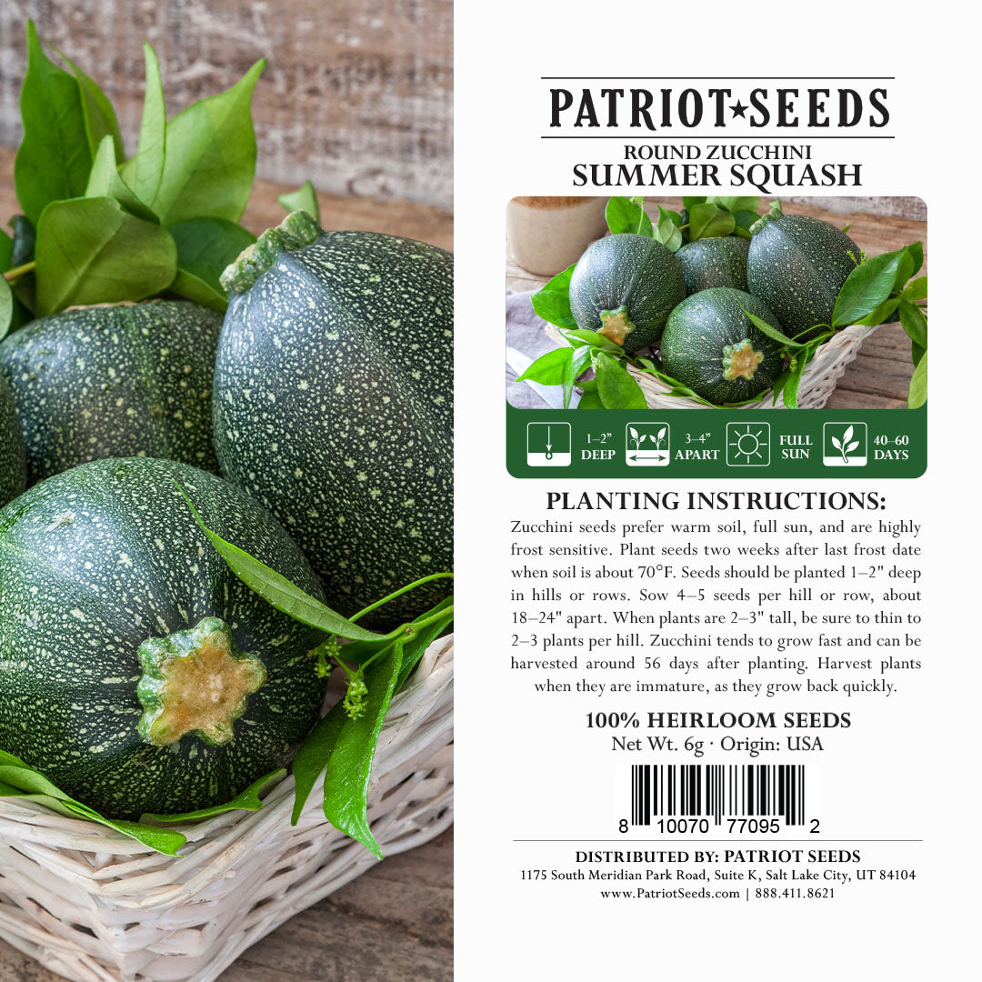 Heirloom Round Zucchini Summer Squash Seeds (6g) by Patriot Seeds