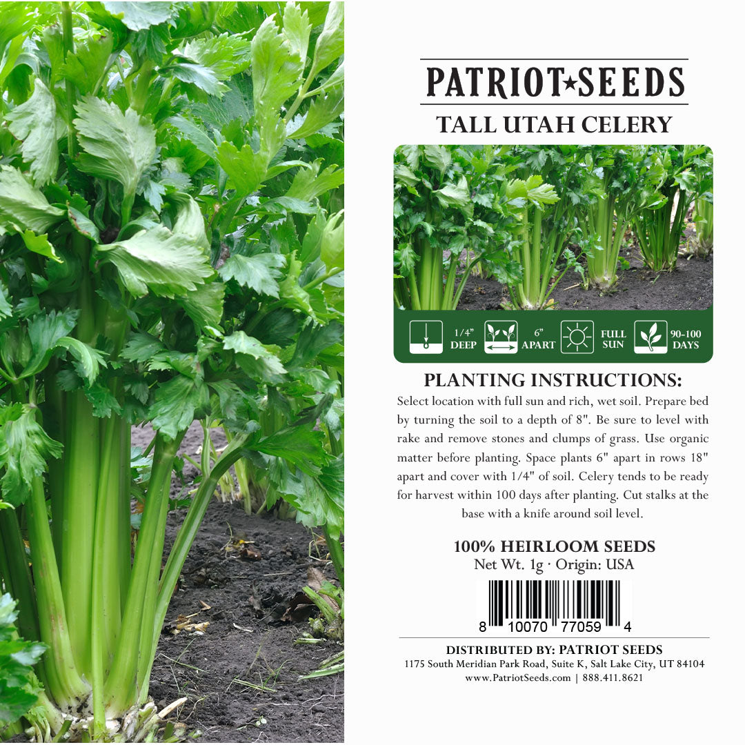 Heirloom Tall Utah Celery Seeds (1g) by Patriot Seeds