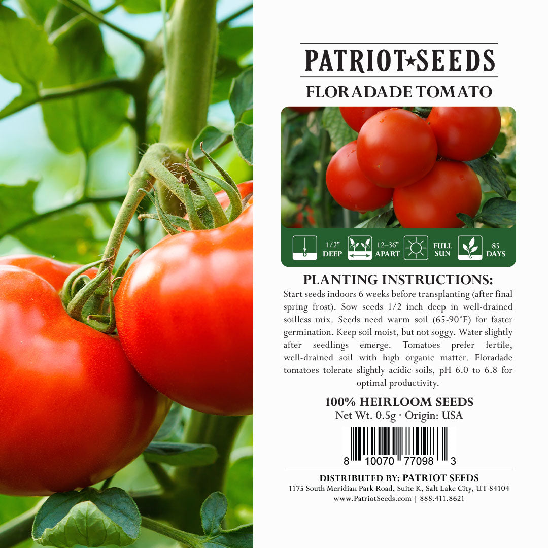 Heirloom Floradade Tomato Seeds (.5g) by Patriot Seeds