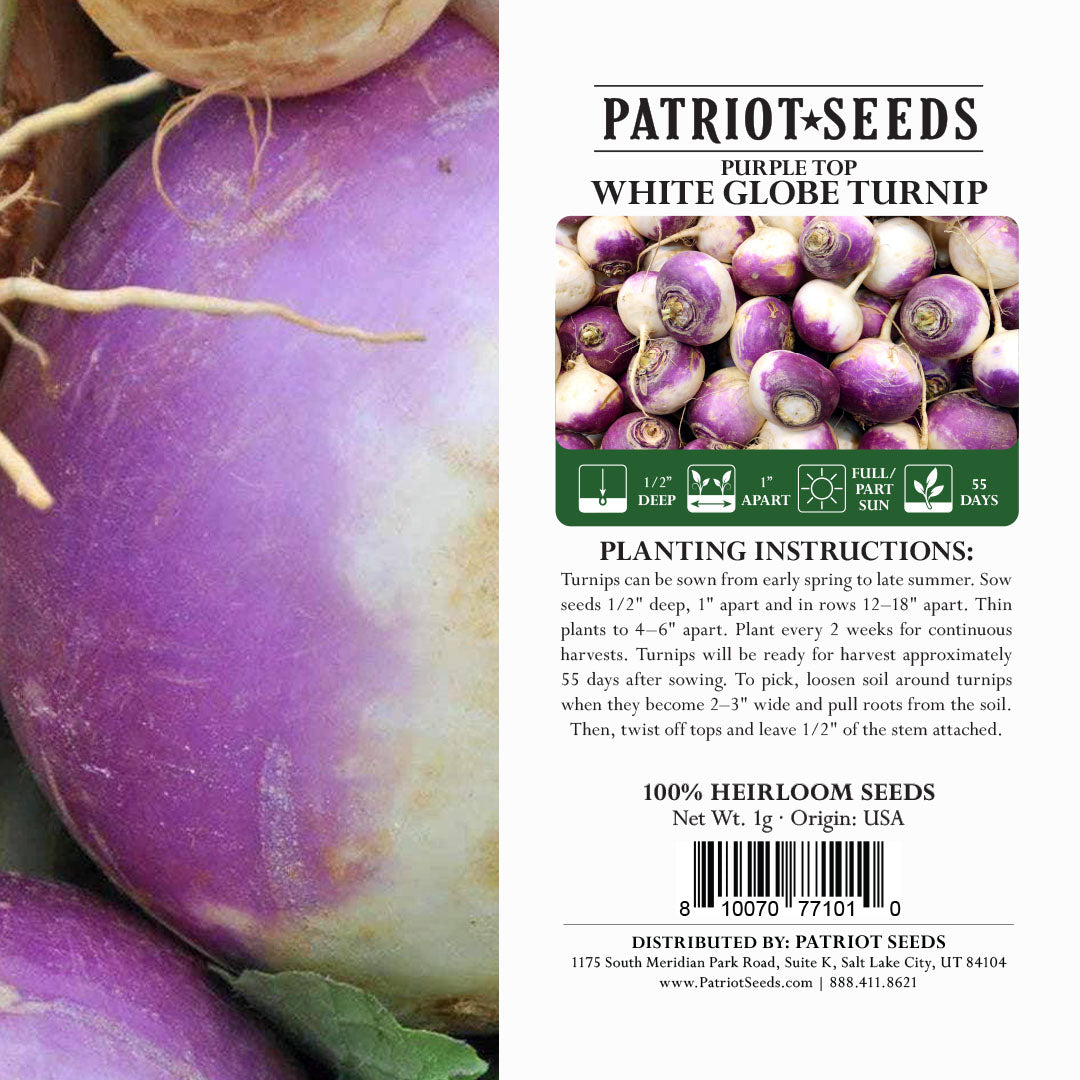 Heirloom Purple Top White Globe Turnip Seeds (1g) by Patriot Seeds