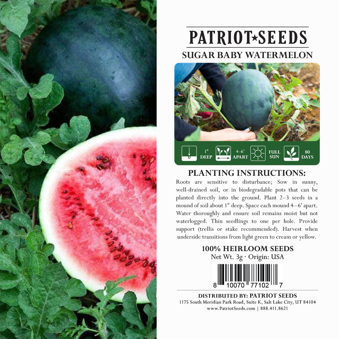 Heirloom Sugar Baby Watermelon Seeds (3g) by Patriot Seeds