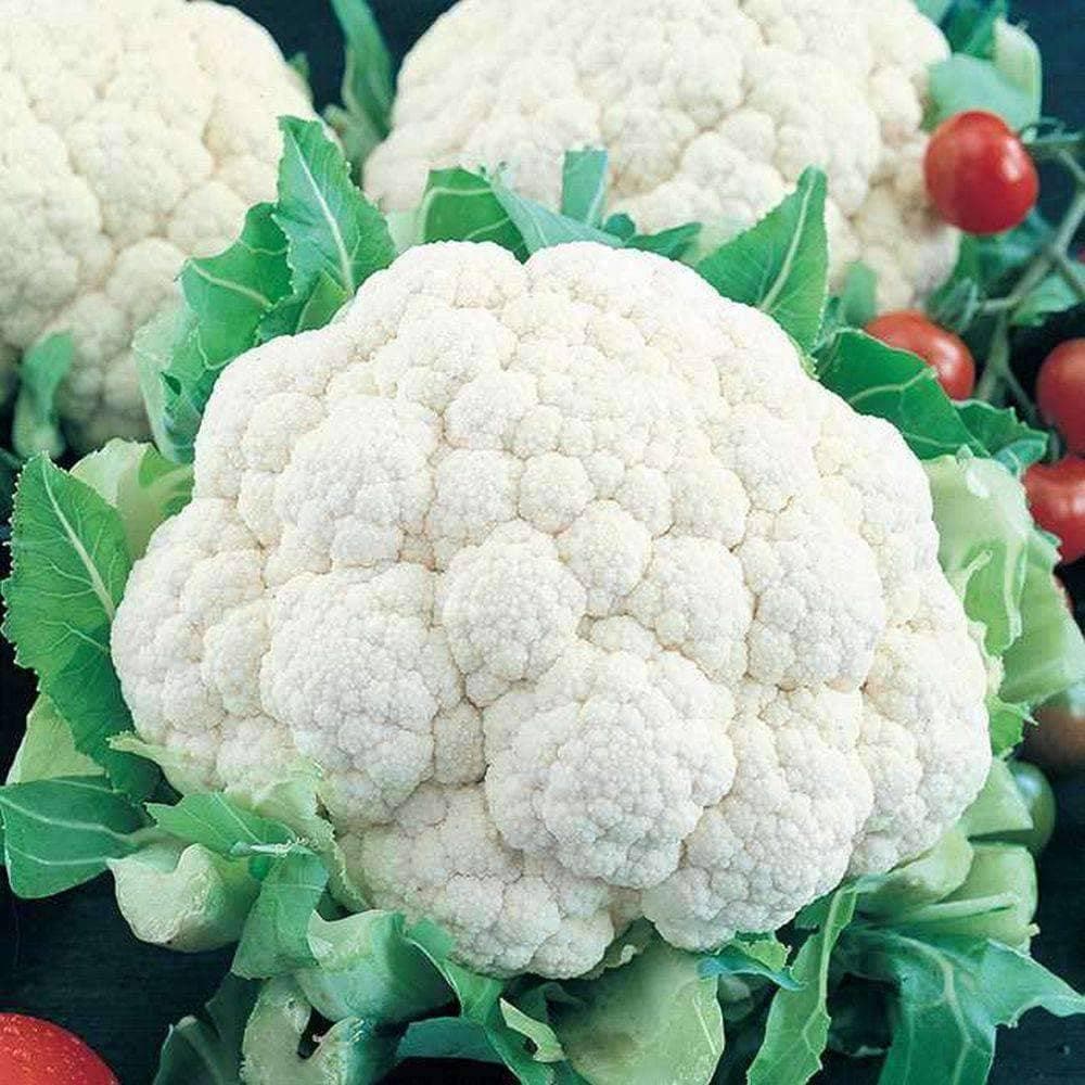 Heirloom Snowball Cauliflower Seeds (1g) by Patriot Seeds