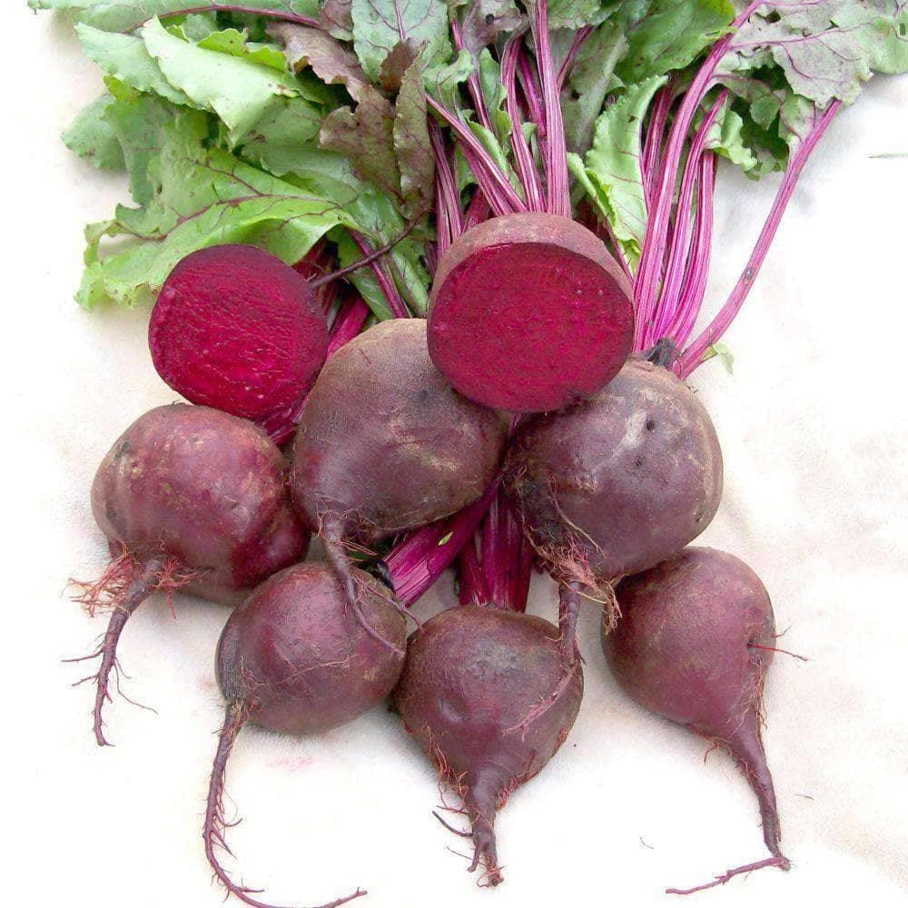 Heirloom Detroit Dark Red Beet Seeds (5g) by Patriot Seeds