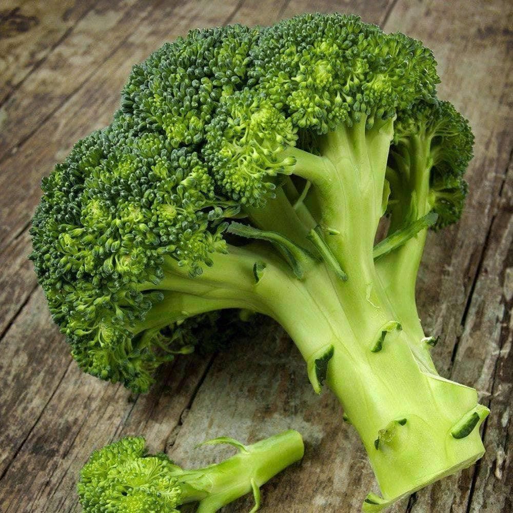 Heirloom Waltham 29 Broccoli Seeds (1g) by Patriot Seeds